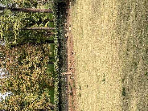 Gita Monferrato - Oltrepò ottobre 2025