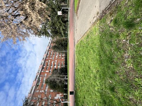 Visita Quartiere Sant'Ambrogio 07/02/2026