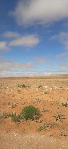 Panda Raid Marocco 2025