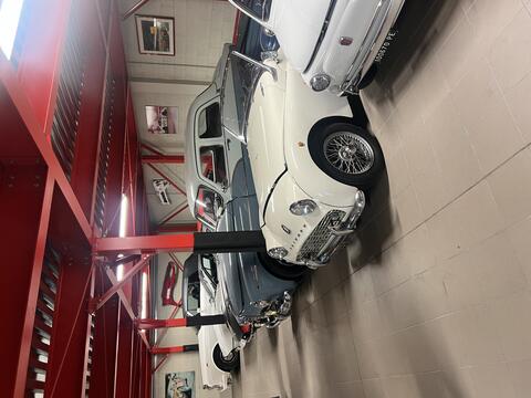 Gita Monferrato - Oltrepò ottobre 2025