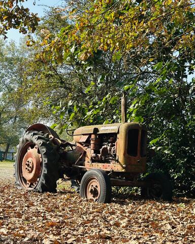 Gita Monferrato - Oltrepò ottobre 2025