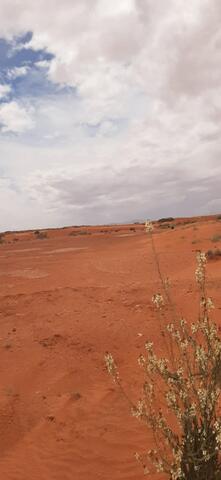 Panda Raid Marocco 2025