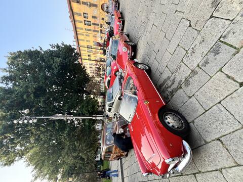 Gita festa del raccolto 11 ottobre 2025