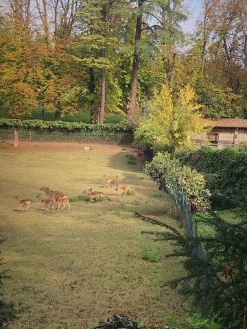 Gita Monferrato - Oltrepò 18/19-10-25